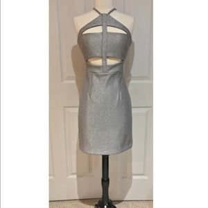 Silver Shimmer Dress NWT